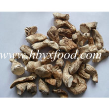 Tige de champignons naturels naturels naturels secs et hautement nutritifs